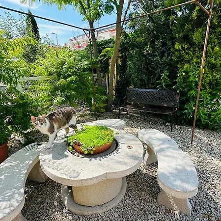 Aranyparti Apartman Apartmán